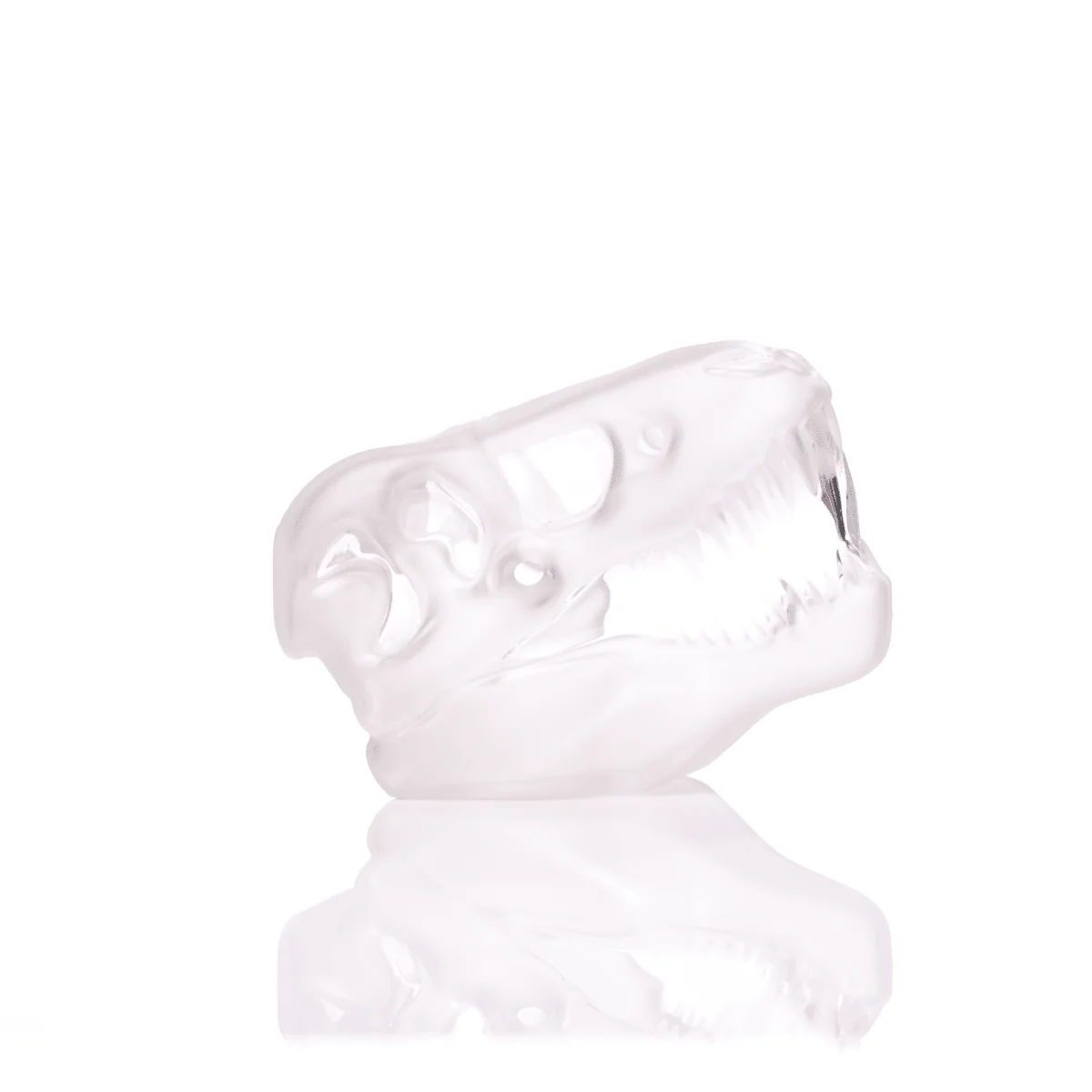 Jurassic Spark Skull Hand Pipe - Image 12